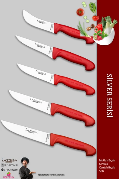 Lazbisa Silver Serisi Çantalı 5 Li Mutfak Bıçak Seti Gastronomi Mutfak Bıçak Seti ( Mft-254) - Resim 2