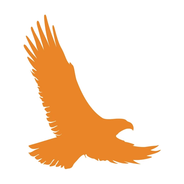 Uçan Kartal Sticker17x17 Cm Turuncu ürün görseli