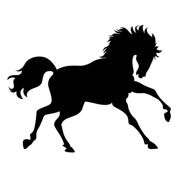 At Sticker 17x17 Cm Siyah ürün görseli