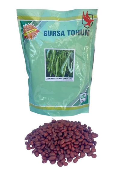 Bursa Tohum Balkız Fasulye Tohumu (Oturak) 1 Kg