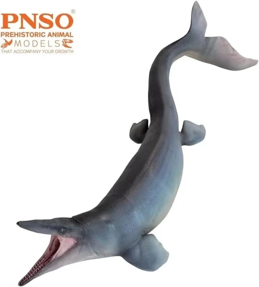 PNSO Deniz Müzesi-Jeff The KRONOSAURUS - 3