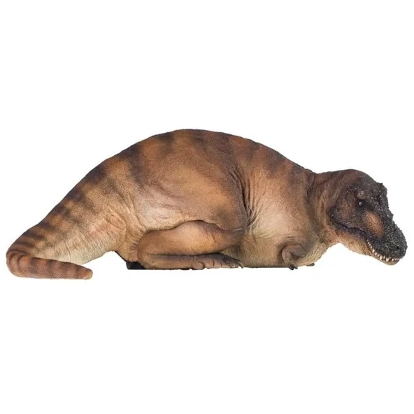 PNSO Dinozor Müzeleri Serisi-XiaoQin Andrea The Tyrannosaurus REX 1:35 Scientific Art Model