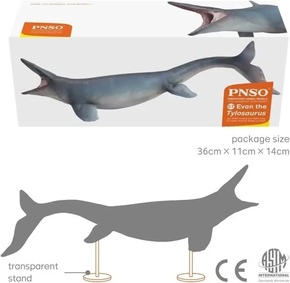 PNSO Deniz Müzesi-Jeff The KRONOSAURUS - 5