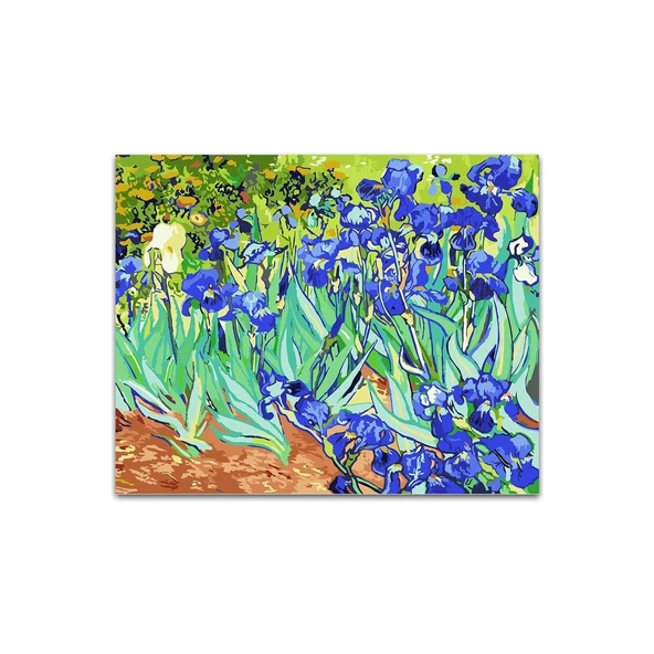 Hobi Mor Çiçekler Numaralı Tuval 40X50CM