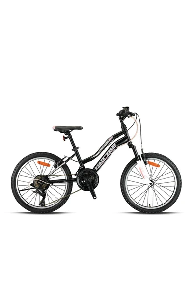 GERONİ SWAN 20 J VİTESLİ ÖNDEN AMÖRTİSÖRLÜ BİSİKLET