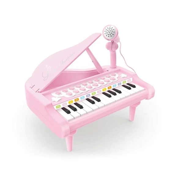 Nessiworld BAO-1505A Mikrofonlu Mini Piano 24 Tuş MP3 Çalar - 4