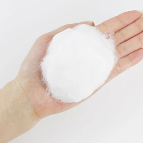 Round Lab - 1025 Dokdo Cleanser (GLOBALCARE) - 2