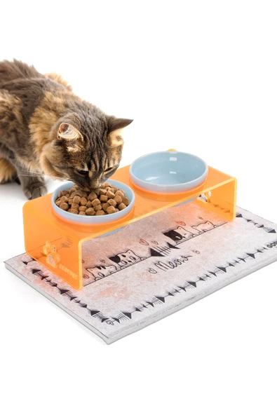 2'li Turuncu Pleksi Dekoratif Kedi Ve Köpek Seramik Mama & Su Kabı Paspas Hediye - 8