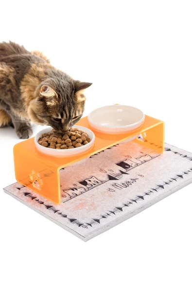 2'li Turuncu Pleksi Dekoratif Kedi Ve Köpek Seramik Mama & Su Kabı Paspas Hediye