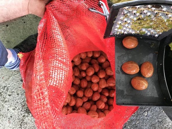 Kadıoğlu CKS80 Ceviz Soyma Makinası Sabit Devirli - 6