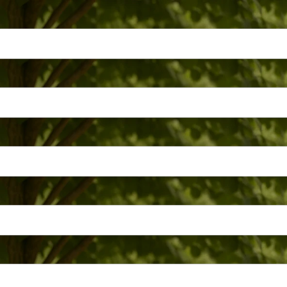 Ihlamur Yaprağı 50g - Resim 2