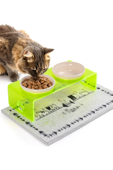 2'li Yeşil Pleksi Dekoratif Kedi Ve Köpek Seramik Mama & Su Kabı Paspas Hediye