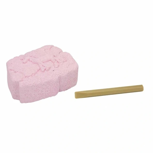 Nessiworld   Karanlıkta Parlayan Unicorn Fosil Kazı Seti ürün görseli 1