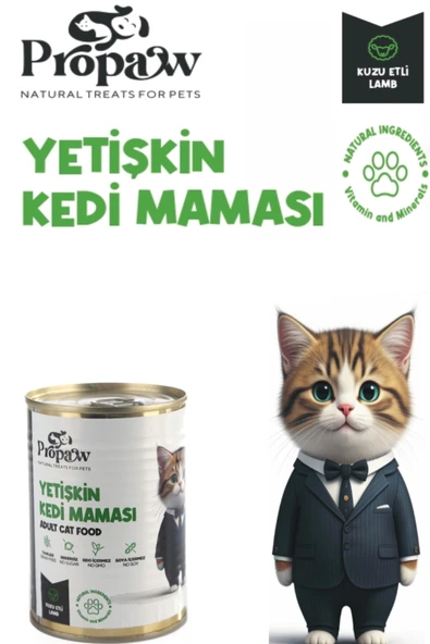 Kedi Yaş Mama Kuzulu Konserve Jöleli Premium Parça Etli Yemek Besleyici Tahılsız Temiz İçerik