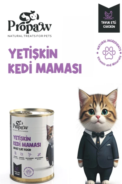 Kedi Yaş Mama Tavuklu Konserve Jöleli Premium Parça Etli Yemek Besleyici Tahılsız Temiz İçerik
