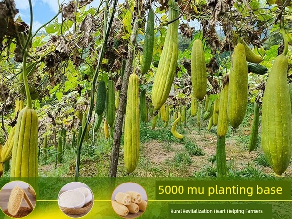 Doğal Yağsız Mutfak Temizleme Lifi Bulaşık Fırçası - Bölüm 10cm x 5 - 8