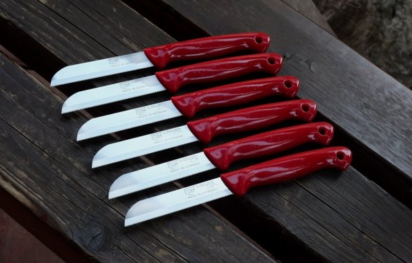 SOLİNGEN MEYVE SEBZE BIÇAĞI SİMLİ 12 ADET TIRTIKLI 1.KALİTE - 2