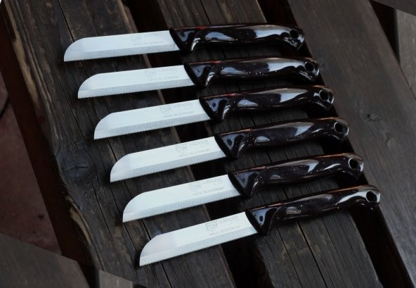 SOLİNGEN MEYVE SEBZE BIÇAĞI SİMLİ 12 ADET TIRTIKLI 1.KALİTE - 3