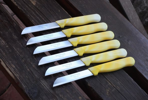 SOLİNGEN MEYVE SEBZE BIÇAĞI MERMER DESEN 6 ADET TIRTIKLI - Resim 6