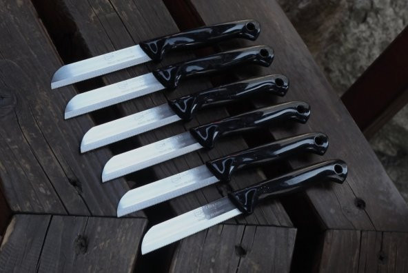 SOLİNGEN MEYVE SEBZE BIÇAĞI SİMLİ 12 ADET TIRTIKLI 1.KALİTE - 8