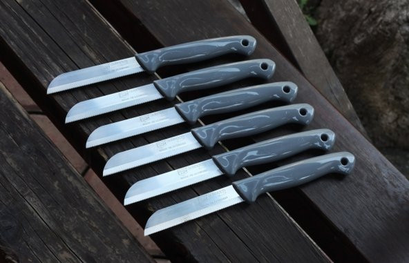 SOLİNGEN MEYVE SEBZE BIÇAĞI SİMLİ 12 ADET TIRTIKLI 1.KALİTE - 9