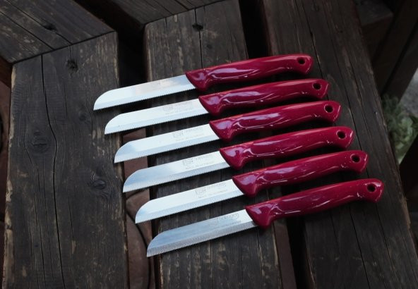 SOLİNGEN MEYVE SEBZE BIÇAĞI SİMLİ 12 ADET TIRTIKLI 1.KALİTE - 10