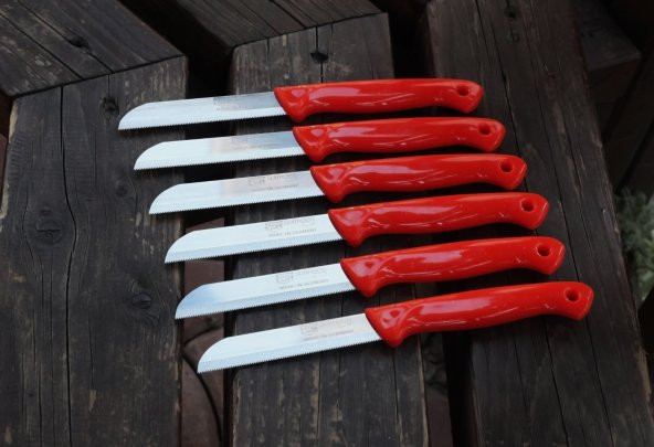 SOLİNGEN MEYVE SEBZE BIÇAĞI SİMLİ 12 ADET TIRTIKLI 1.KALİTE - 11