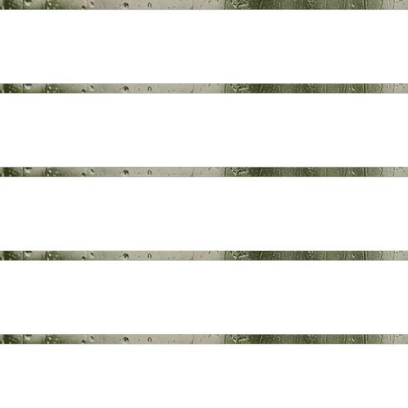 Misvak Tozu 50g - Resim 3