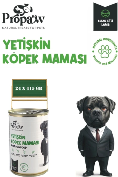 Köpek Yaş Mama Kuzu Konserve Jöleli Premium Parça Etli Yemek Besleyici Tahılsız İçerik 24 x 415gr
