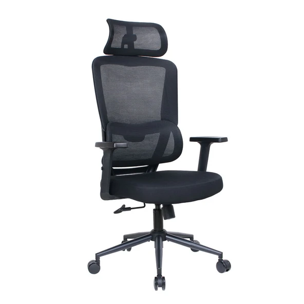 Reflex-S Full Ergonomic Yönetici ve Çalışma Koltuğu File Kumaş - Siyah 66 x 124-134 x -74 cm - 2