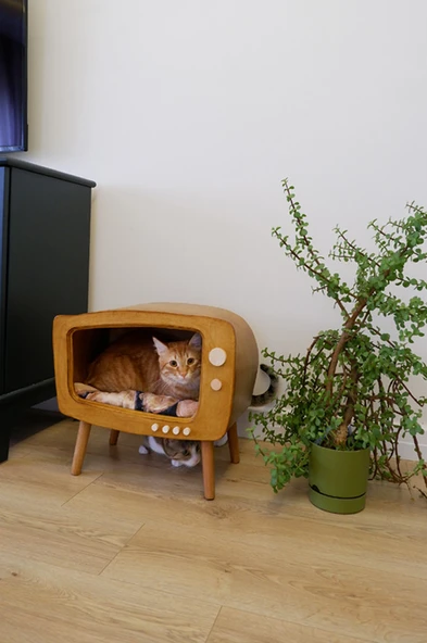 Kedi Evi Ahşap Retro TV Dekoratif Kedi Evi İç Mekan Kediler için