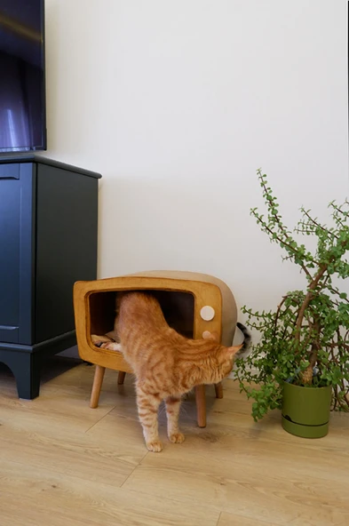 Kedi Evi Ahşap Retro TV Dekoratif Kedi Evi İç Mekan Kediler için - 4