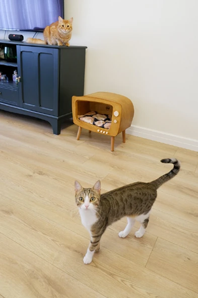 Kedi Evi Ahşap Retro TV Dekoratif Kedi Evi İç Mekan Kediler için - 2