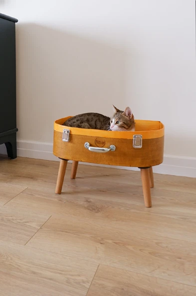 Kedi Evi Dekoratif Retro Valiz Kedi Evi