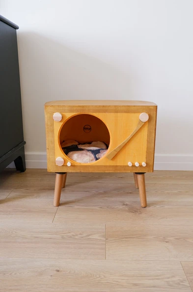 Kedi Evi Dekoratif Retro Plak Çalar Kedi Evi