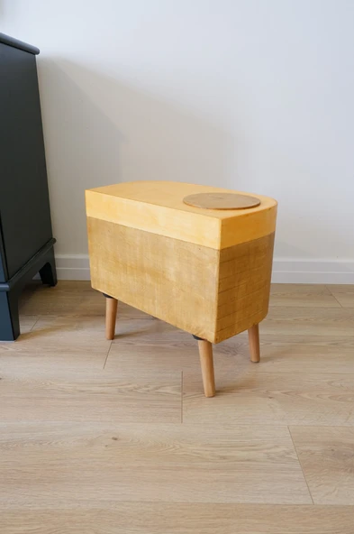 Kedi Evi Dekoratif Fotoğraf Makinesi Kedi Evi - 5