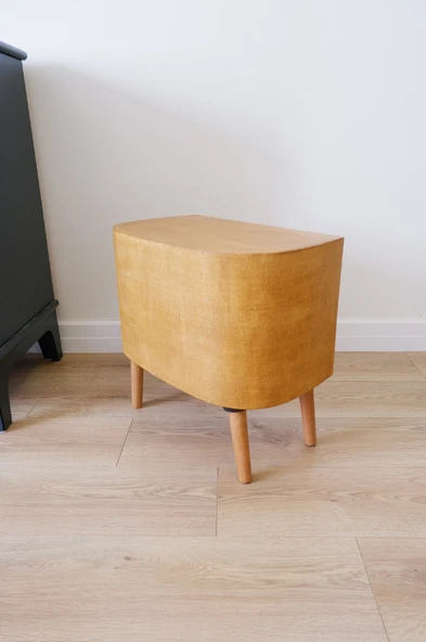 Kedi Evi Dekoratif Retro Plak Çalar Kedi Evi - 6