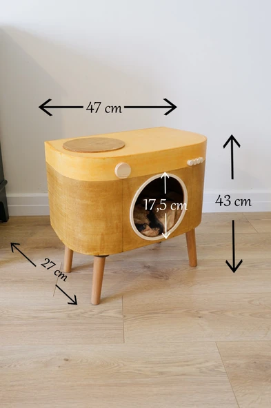 Kedi Evi Dekoratif Fotoğraf Makinesi Kedi Evi - 7