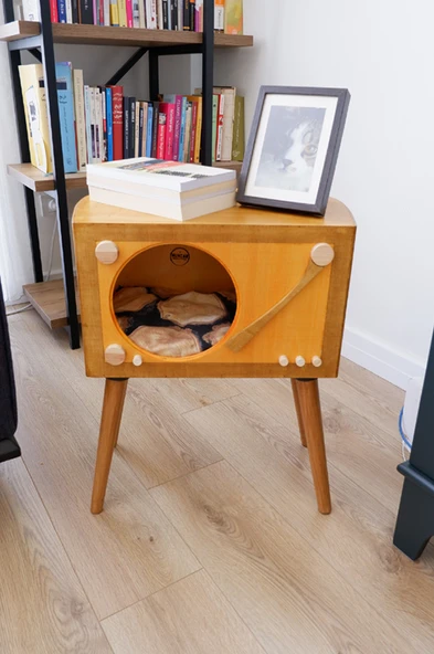 Dekoratif Retro Plak Çalar Sehpa ( Köşe Sehpa )