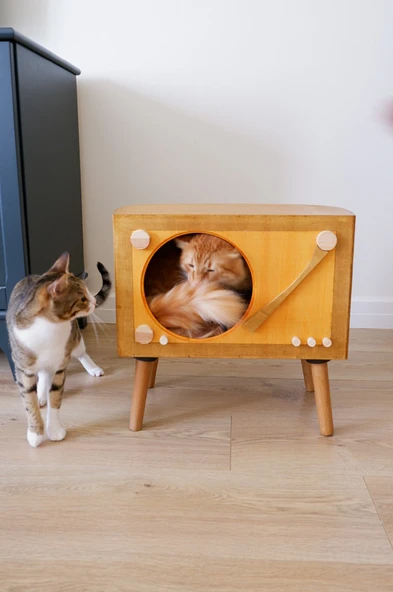 Kedi Evi Dekoratif Retro Plak Çalar Kedi Evi - 5