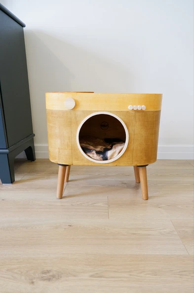 Kedi Evi Dekoratif Fotoğraf Makinesi Kedi Evi - 4