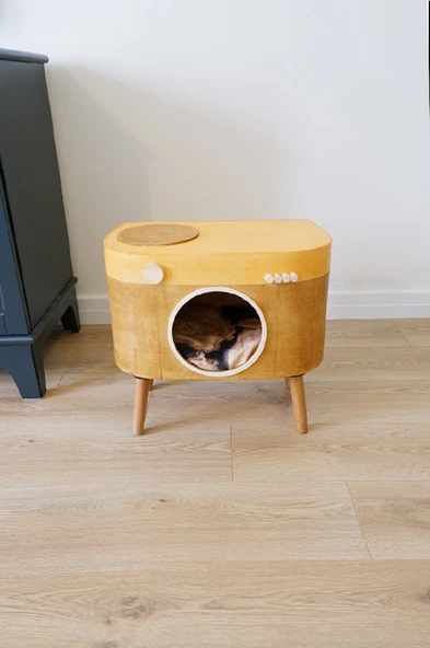 Kedi Evi Dekoratif Fotoğraf Makinesi Kedi Evi