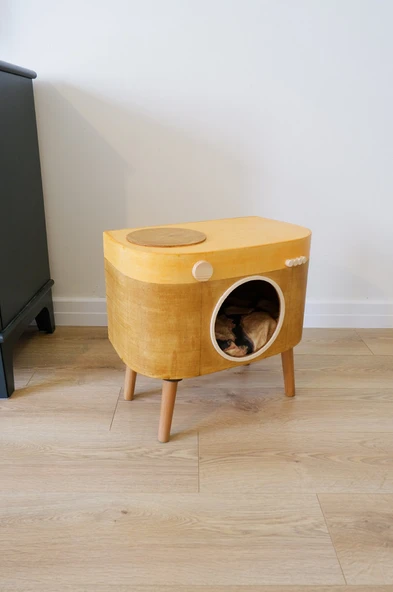 Kedi Evi Dekoratif Fotoğraf Makinesi Kedi Evi - 3