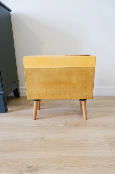 Kedi Evi Dekoratif Fotoğraf Makinesi Kedi Evi - 6