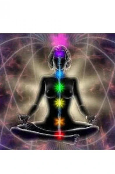 7 Çakra Taşlı Kolye Yılan Motifli 236-C3 - 5