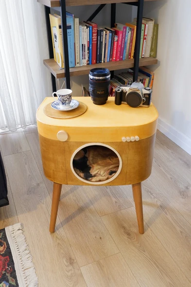 Dekoratif Fotoğraf Makinesi Ahşap Sehpa ( Köşe Sehpa ) - 3