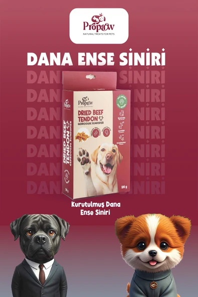 Kurutulmuş Dana İnce Sinir Çiğnemelik Köpek Ödül Maması %100 Doğal Tüm Irklar İçin Protein 120 g - 2