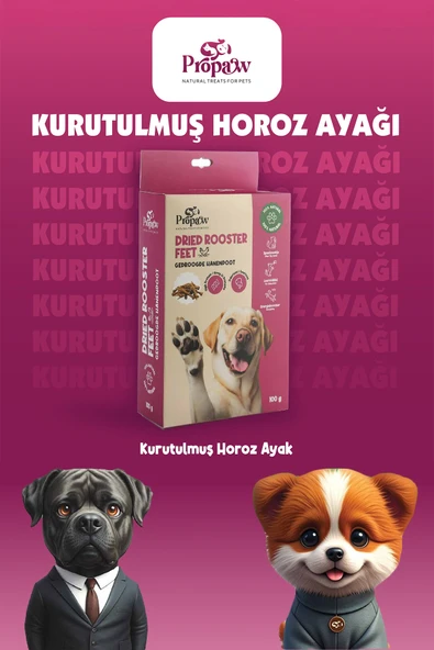 Kurutulmuş Horoz Ayak Köpek Ödül Maması Çiğnemelik %100 Doğal Tüm Irklar İçin Yüksek Protein 100 g - 2