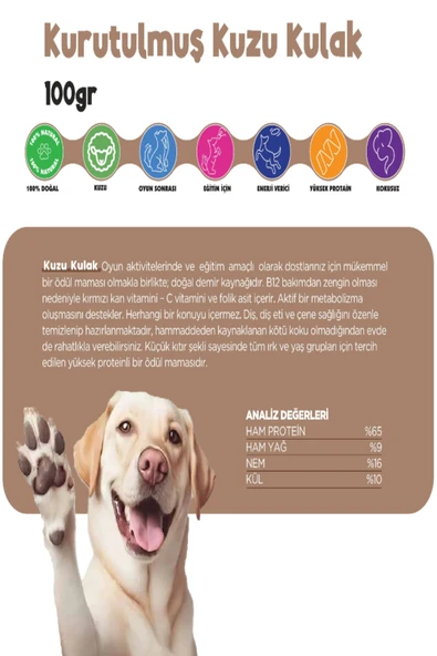 Kurutulmuş Kuzu Kulak Köpek Ödül Maması Çiğnemelik %100 Doğal Tüm Irklar İçin Yüksek Protein 100 g - 3