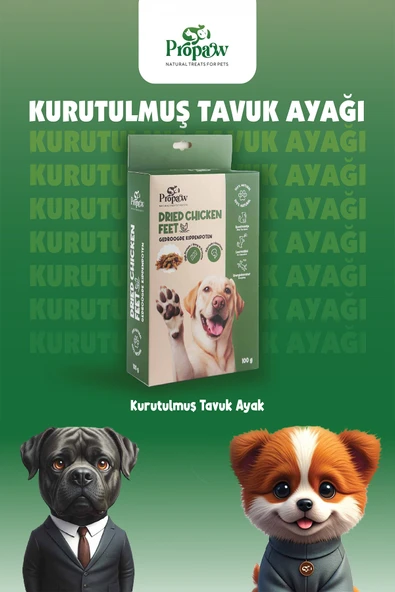 Kurutulmuş Tavuk Ayak Köpek Ödül Maması Çiğnemelik %100 Doğal Tüm Irklar İçin Yüksek Protein 100 g - 2